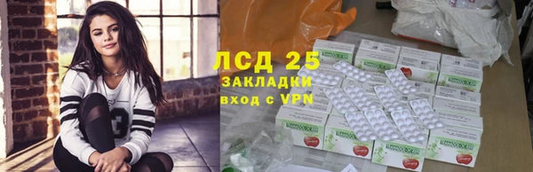 PSILOCYBIN Алзамай