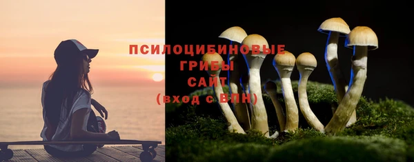 а пвп мука Армянск