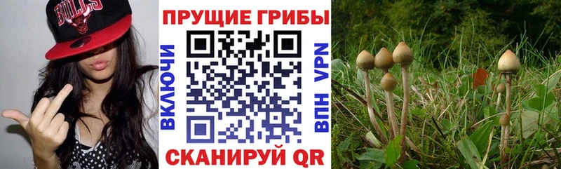 купить наркотики сайты  Реж  MEGA сайт  Галлюциногенные грибы мицелий 